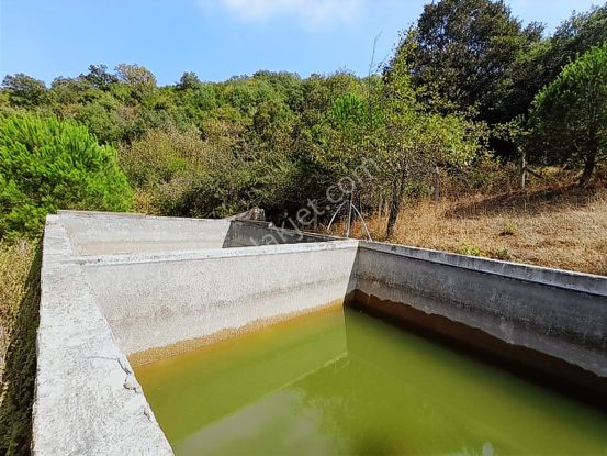 Erdek Çayağzı Şahinburgaz Satılık 5481 M2 Meyve Bahçesi