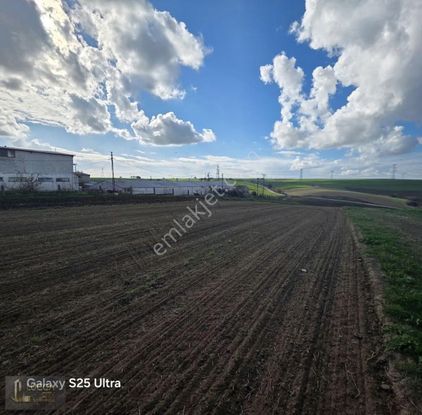 Tekirdağ Çorlu Şahpaz Mah.satılık 4.100 M2 Tarla