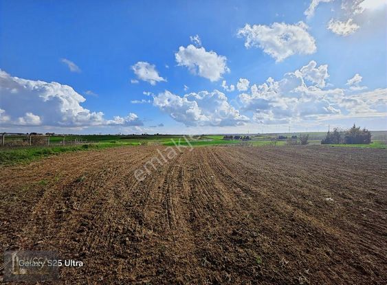 Tekirdağ Çorlu Şahpaz Mah.satılık 2.500 M2 Bağ Yeri
