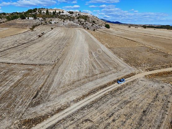 Satılık Duruçay Köyü Anayola Merkeze Yakın 7814 M² Tarla