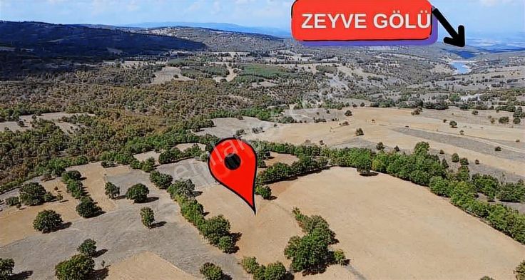 Bilecik | Söğüt Savcıbey' De 21.673 M2 Yatırımlık Arazi