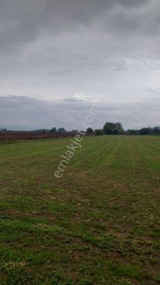 Aydın Efeler Baltaköy