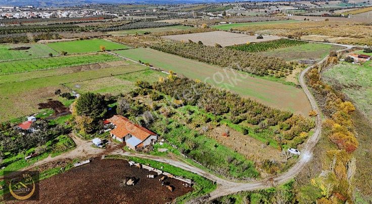 Çanakkale Bayramiç Merkez Satılık Tarla