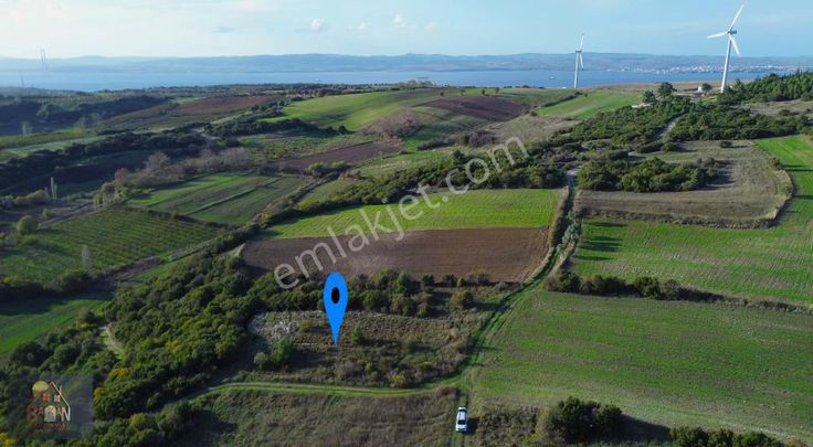 Çardak'ta Kadastral Yollu, Denize Yakın 2.100 M² Fırsat Arazi!