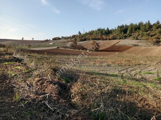 Yenişehir Günecede Kelepir Tarla