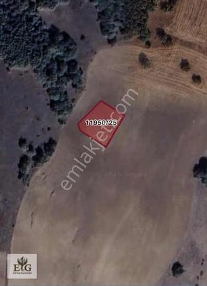 Esil Grup'tan Kelepir 1 Dönüm Tarla