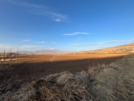 Öz Gaye Emlaktan Develi Tombak Mahallesinde Satılık Tarla
