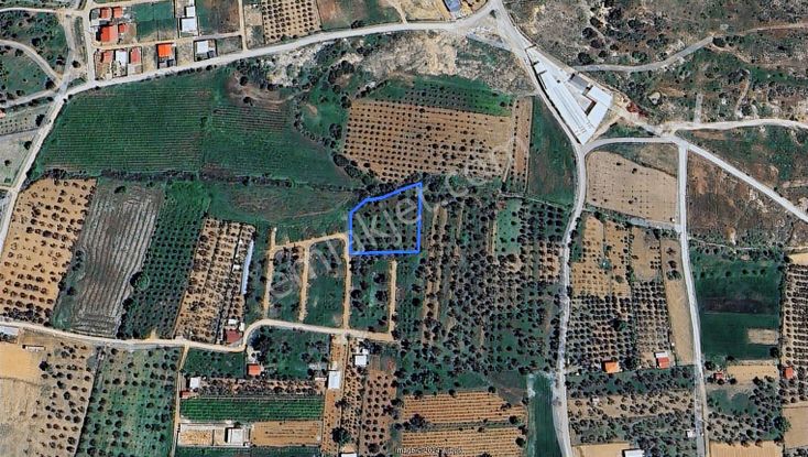 Emlak Durağı'ndan Dereköy'de 2835 M² Tarla