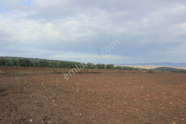 Bursa Karacabey Danişment Asfalt Yola 50 Metre Mesafede Tarla