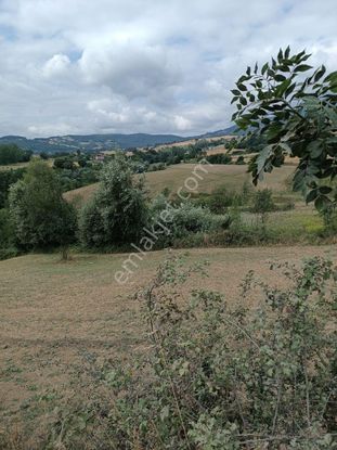 Atakum Sarı Taşda Satılık Tarla