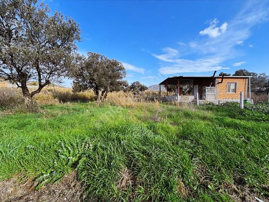 Aliağa Helvacıda Satılık 615 M2 Kupon Arsa