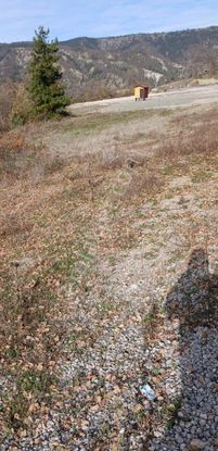 Sabuncoğlu Gayrımenkulden, Sinop.dikmen Bucakda,aba Yol Kenarında Primlik Arazi
