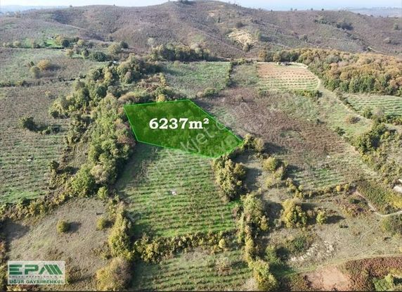 Epa Uğur'dan Çiçekpınar'da Satılık Fındık Bahçesi