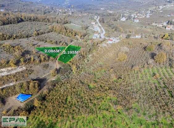 Epa Uğur'dan Akçakoca Çiçekpınar'da Satılık %50 İmarlı Fındıklık