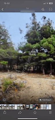 Denizli Çal Köyünde Yatırımlık, Tek Tapu Tarla!