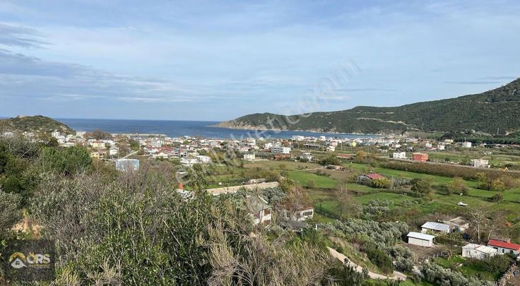 Emsalsiz Deniz Manzaralı İmar Sınırında Tek Tapu Zeytinlik