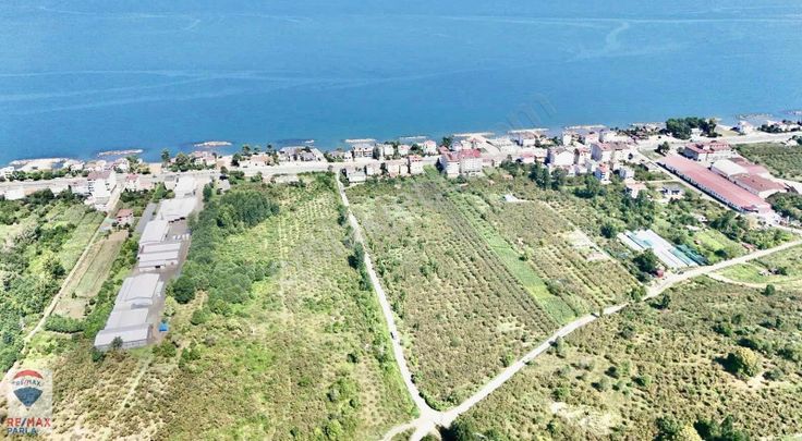 Fatsa Bolaman Yenipazar Satılık 676m2 En Büyük Parsel Arsa