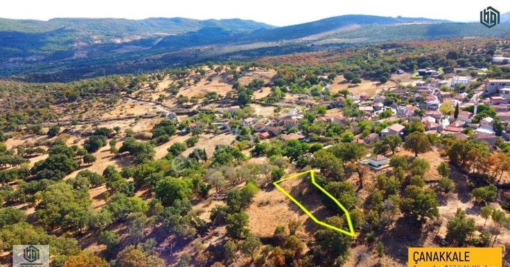 Söğütlü Köyünde İmarlı 406 M2 Ve 899 M2 Satılık Arsa Ve Tarla