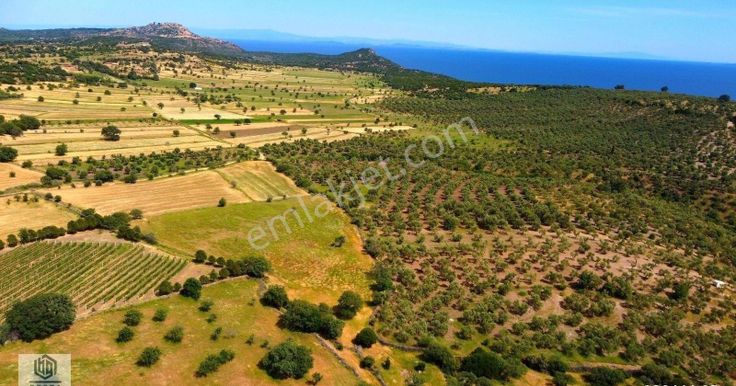 Ayvacık Korubaşı Köyünde Resmi Yolu Olan Deniz Manzaralı Tarla