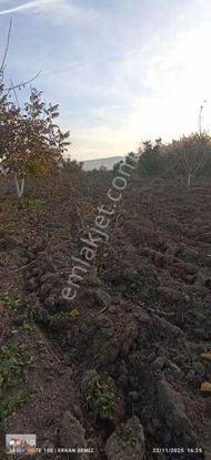 Çelik Yapı Emlak Dan 3.800 Metrekare Tarla İçerisinde Bağ Evi