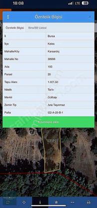 Ormana Cephe 2b Si Olan 1 Dönüm Fırsat Fiyatlı Tarla