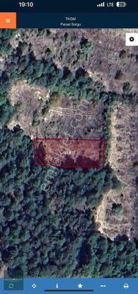 Ormana Cephe 936 M2 Tek Tapu Fırsat Tarla