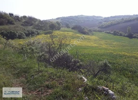 Susurluk Babaköy' De 28500 M2 Satılık Tarla