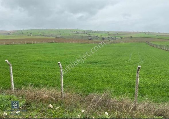 Gölbaşı Halaçlı'da İmara Yakın Yola Cepheli Satılık Tarla