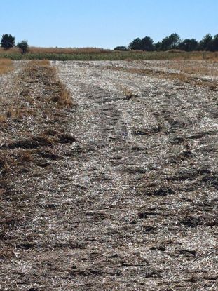 Enez Kesan Yoluna 2.parsel Köye Çok Yakın Konumda