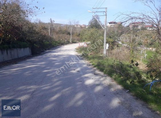 Emor Gayrimenkul Den Efirli De Satılık 1500 M2 Arsa