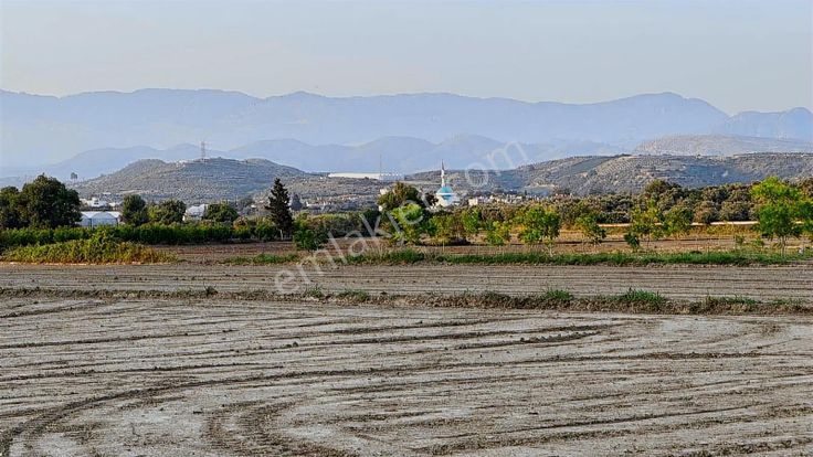 Tur-beylerden Dolbazlarda Mükemmel Konumda Satılık Tarla