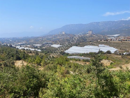 Alanya Kargıcak'ta Yatırımlık Ticari+konut İmarlı Arsa