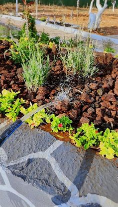 Orman Bölgesi Mükemmel Konum Uygun Villa Konseptli