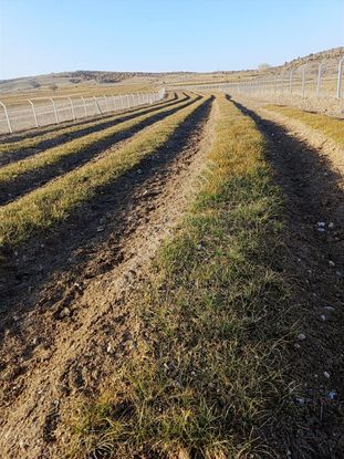 Kütahya Merkezde Yol Kenarı Tel Örgülü 2081 M² Müstakil Arsa