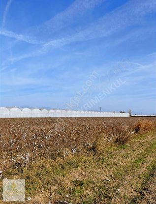 Serik Yukarıkocayatak Mh Antalya-alanya Yolu'na 400m Tarla