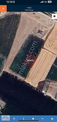 Taşpınar Gayrimenkulden Yeşilova/köseli'de 1,272 M2 Satılık Arsa