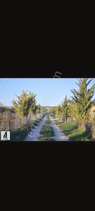 111'den 25.000 Konutluk Alana Yakın Hobi Bahçeleri