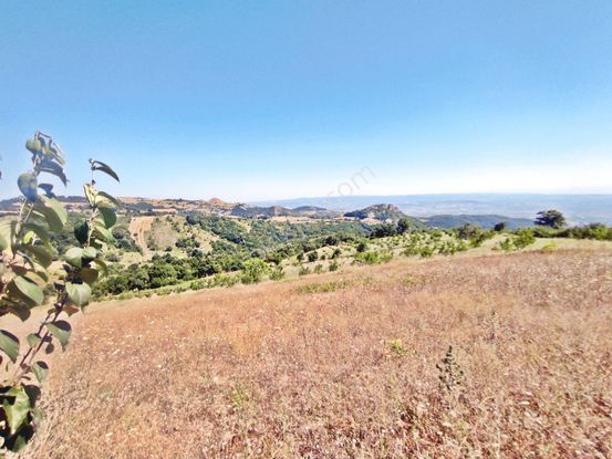 Yenişehir Kirazlı Yayala Da Doğa Manzaralı - 2590 -m2- Tarla