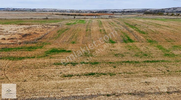 Kırklareli Pehlivanköy Kumköy De Satılık 2956 M2 Satılık Tarla