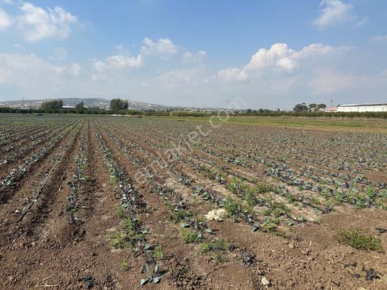 New Form'dan Akdeniz Bağlarbaşı Mah.nde Satılık 23.000 M2 Tarla