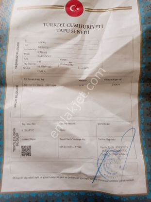 Sahibinden Sivas'ta Hissel