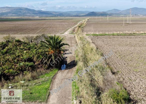 Bergama Yeniköy Tarlaları | 8.020 M2 Düz Ova | Satılık Tarla