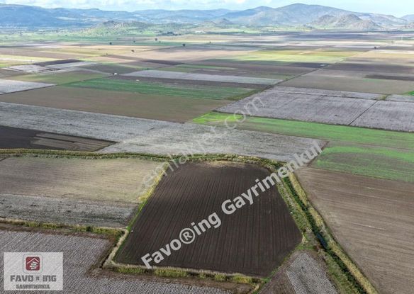 Bergama Aşağıkırıklar | 4.802 M2 Düz Ova | Satılık Tarla