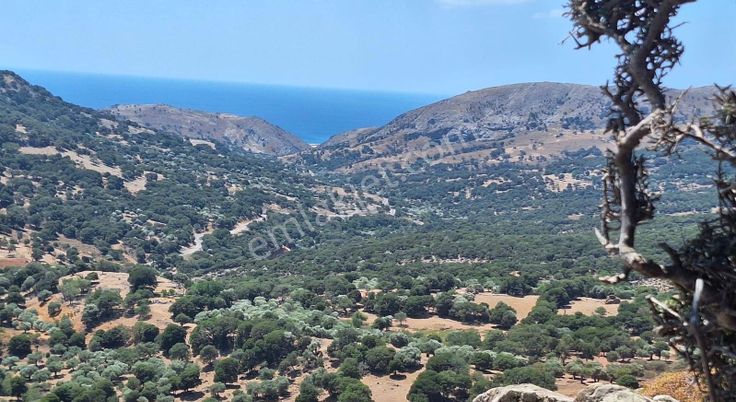 Çanakkale Gökçeada Zeytinliköyde Deniz Manzaralı 200m2 Arsa