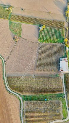 Manisa Şehzadeler Şehitler Mah. 20650 M2 Satılık Tarla