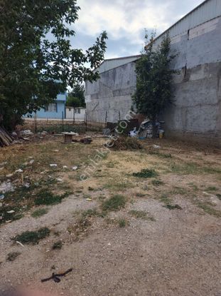 Sahibinden Yatırımlık Veya Ev Yapılabilir İskurcağim İcin Satılıktır