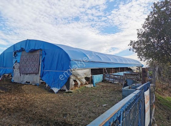 Bursa Yenişehir Çelebiköy De Satılık Kupon Çiftlik Ve Arazisi.