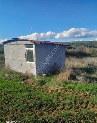 Bilge Emlak'tan Şarköy Gölcük'te Bağ Evi Ve Bahçesi