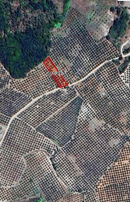 Bm Real Estateyörükyenicesi'nde Yola Cephe 1777 M2 Zeytinlik