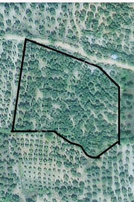 Sahibinden İznik Tacir'de Yatırım Fırsatı